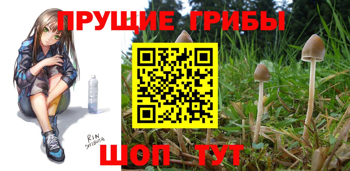 цены наркотик  Вход с VPN  Рубцовск  Псилоцибиновые грибы GOLDEN TEACHER 